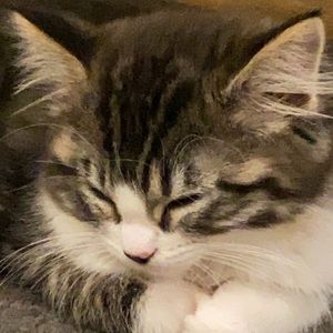 Meet your Posher, Kellie